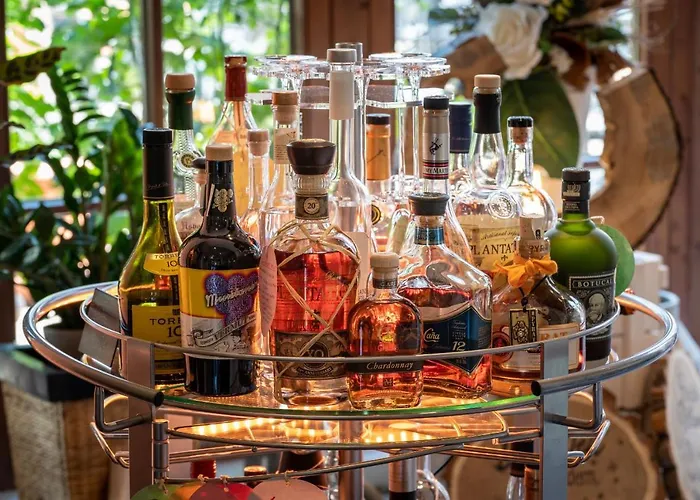 فندق Reussischer Hof