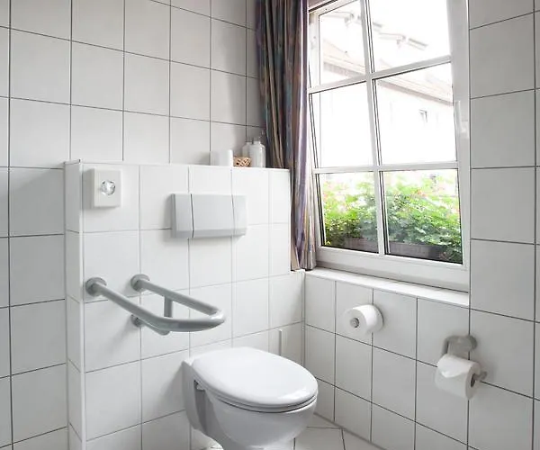 Reussischer Hof فندق