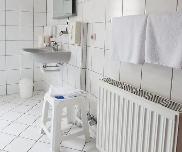 Reussischer Hof Otel 3*